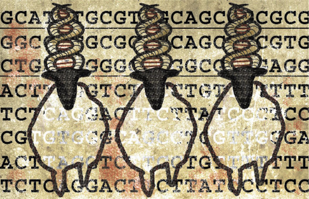 cloning process